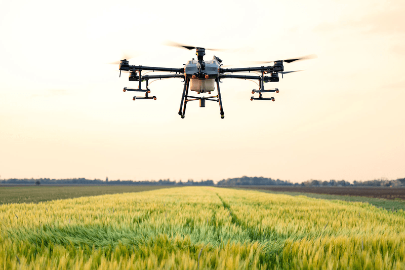 Pozvánka na výstavu Země živitelka 2025